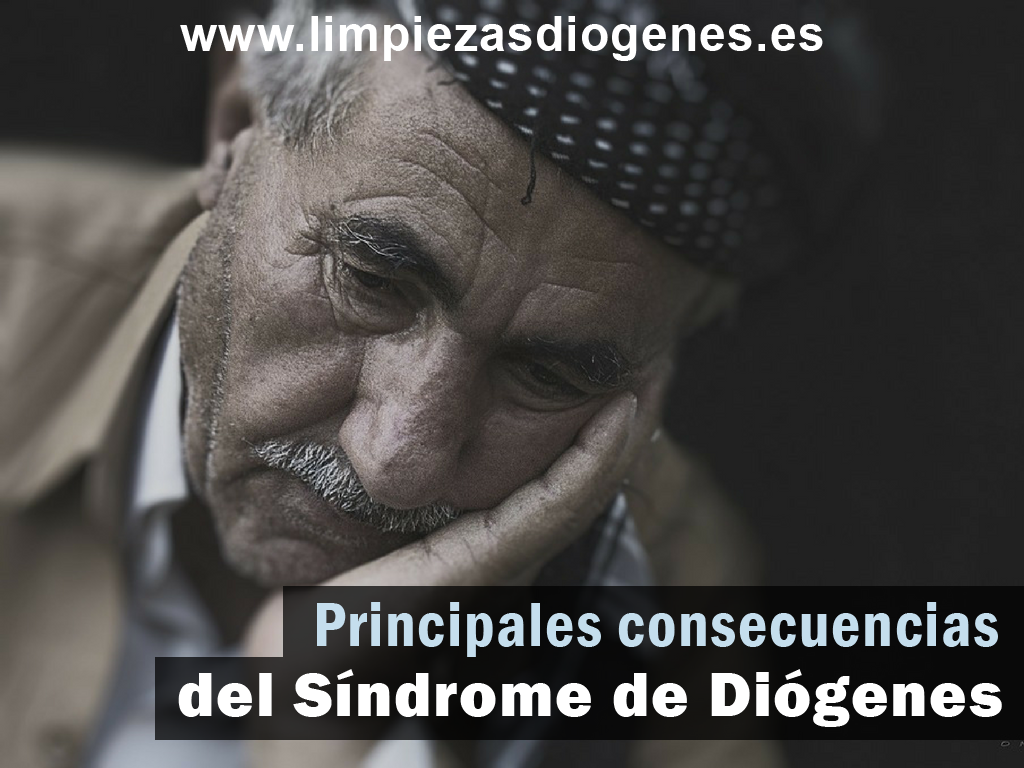 consecuencias del sindrome de diogenes, riesgos del sindrome de diogenes, riesgo comunidad sindrome de diogenes